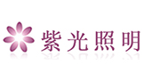 深圳市紫光照明技术股份有限公司