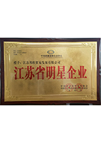江苏省明星企业